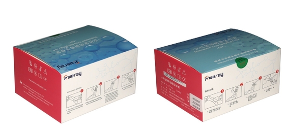 3ML μίας χρήσης δειγματοληψία ιών εξαρτήσεων δοκιμής VTM για covid-19
