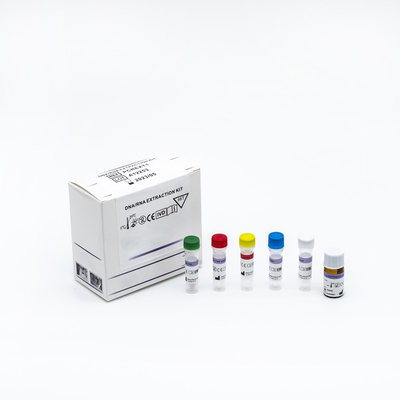 Γρήγορος RT PCR γρήγορος και απλός φθορισμός εξαρτήσεων δοκιμής για covid-19